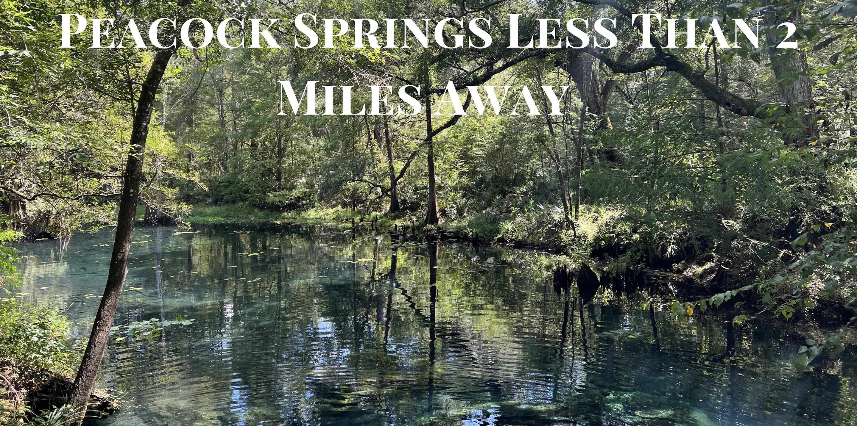 17268 181st Loop Live Oak, FL 32060 - Photo 67 of 69