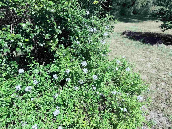 $310,000 | 17268 181st Loop, Live Oak, FL 32060