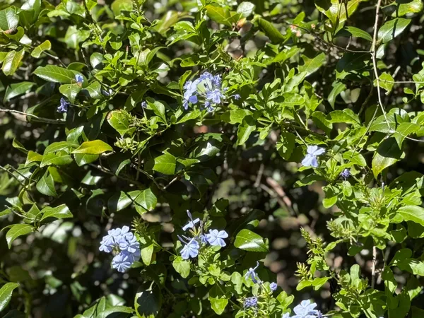 $310,000 | 17268 181st Loop, Live Oak, FL 32060