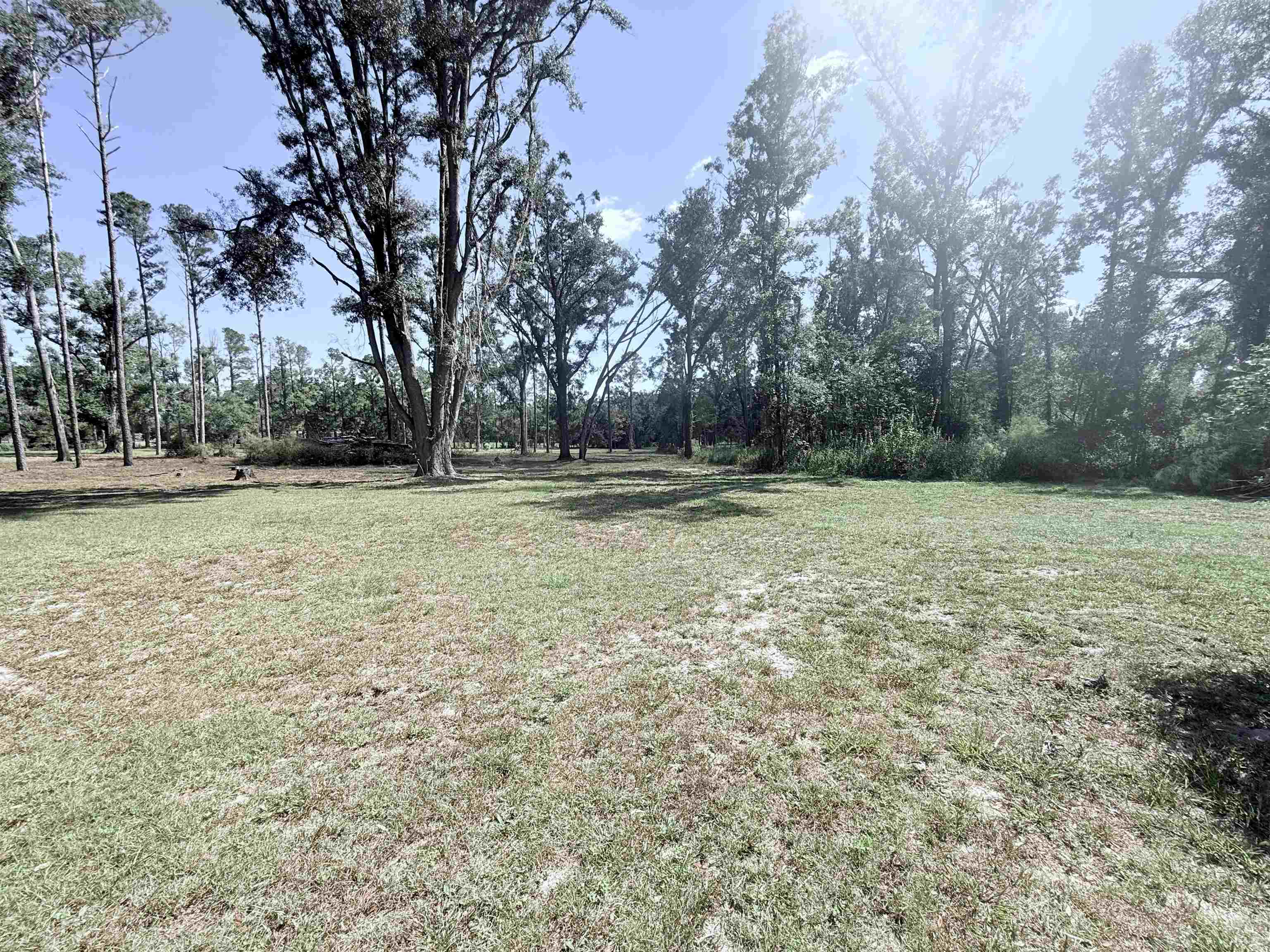 17268 181st Loop Live Oak, FL 32060 - Photo 10 of 69