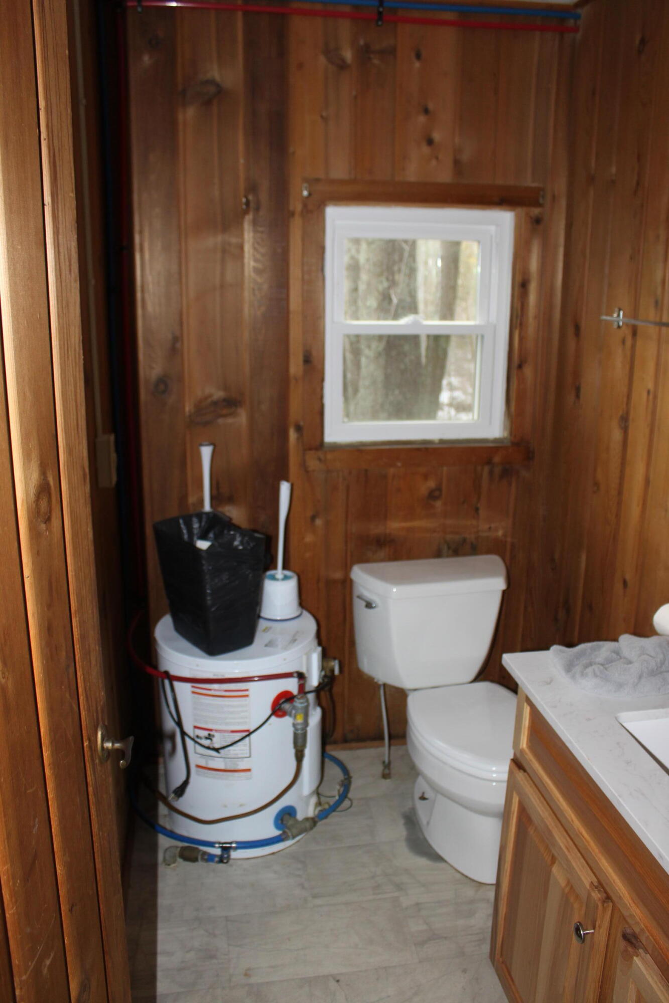 4746 Swihart Road Brethren, MI 49619 - Photo 12 of 16 IMG_0665