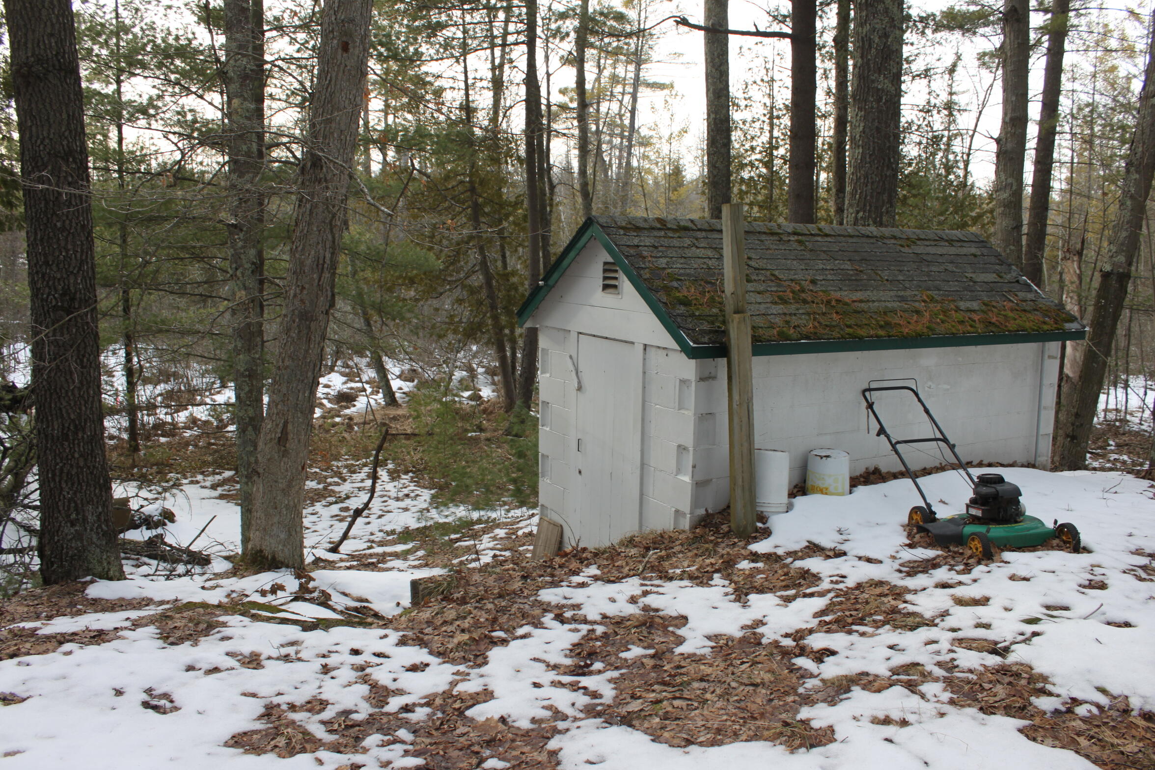 4746 Swihart Road Brethren, MI 49619 - Photo 14 of 16 IMG_0672