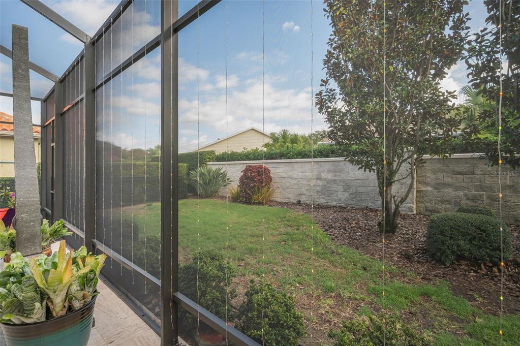 1042 Tuscany Drive Trinity, FL 34655 - Photo 55 of 93