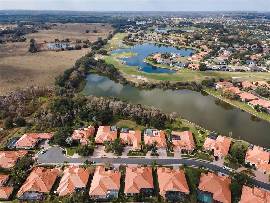 1042 Tuscany Drive Trinity, FL 34655 - Photo 63 of 93