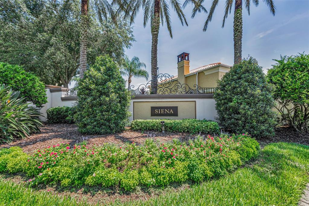 1042 Tuscany Drive Trinity, FL 34655 - Photo 65 of 93