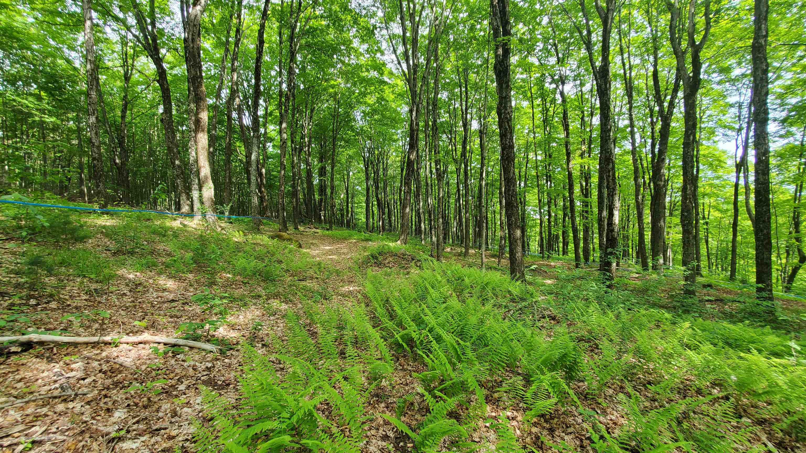 0 Pennock Road Strafford, VT 05072 - Photo 2 of 4