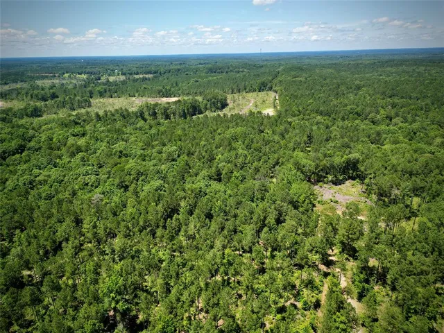 $630,000 | 0 William Colvin Road, Bernice, LA 71222