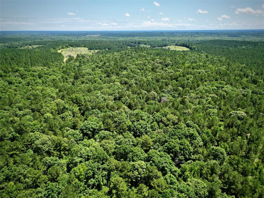 0 William Colvin Road Bernice, LA 71222 - Photo 12 of 21 Aerial view of a forest