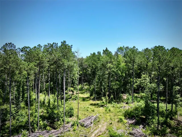 $630,000 | 0 William Colvin Road, Bernice, LA 71222