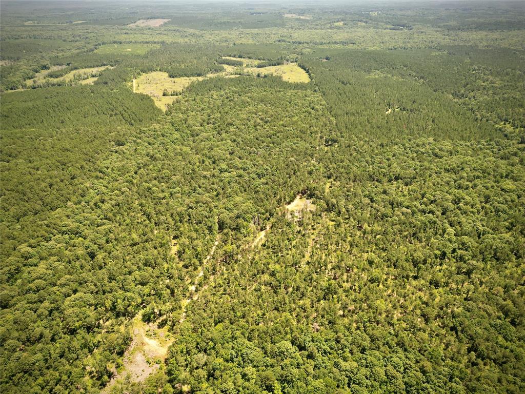 0 William Colvin Road Bernice, LA 71222 - Photo 14 of 21 Drone / aerial view of a forest