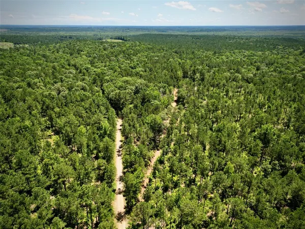 $560,000 | 0 William Colvin Road, Bernice, LA 71222