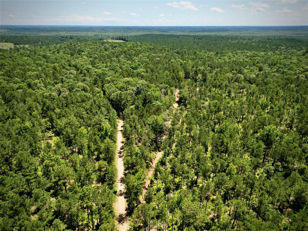 0 William Colvin Road Bernice, LA 71222 - Photo 15 of 21 Drone / aerial view of a forest