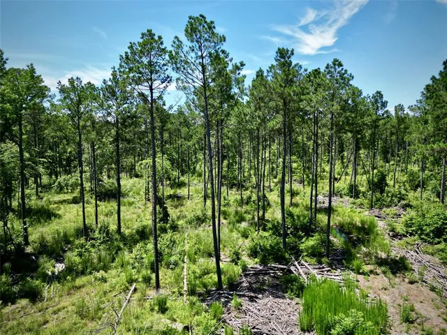 $630,000 | 0 William Colvin Road, Bernice, LA 71222