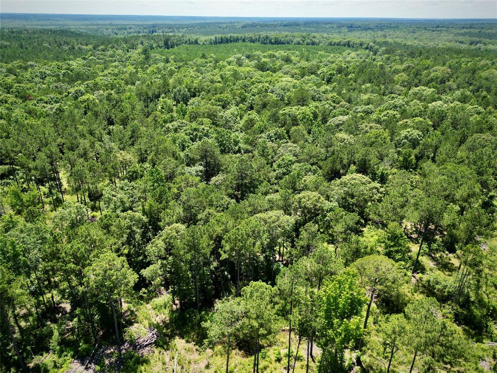 0 William Colvin Road Bernice, LA 71222 - Photo 7 of 21 Drone / aerial view of a heavily wooded area