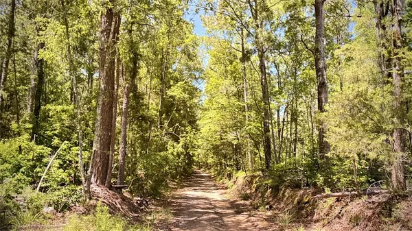 $560,000 | 0 William Colvin Road, Bernice, LA 71222