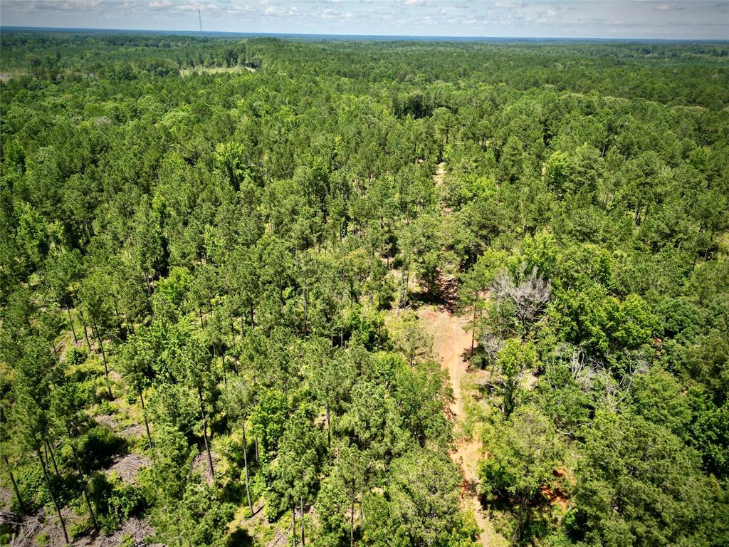 0 William Colvin Road Bernice, LA 71222 - Photo 9 of 21 Bird's eye view of a heavily wooded area
