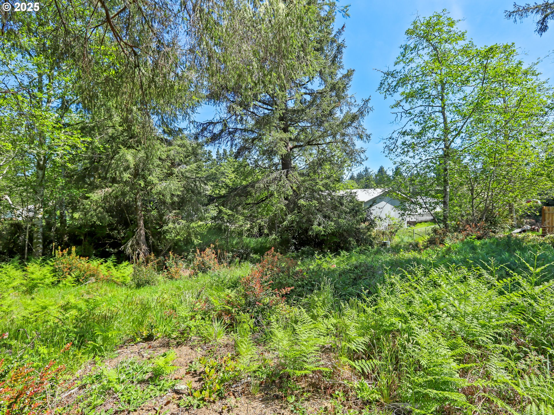 29116 R Street, Unit 160 Ocean Park, WA 98640 - Photo 10 of 14 Gallery Image 10