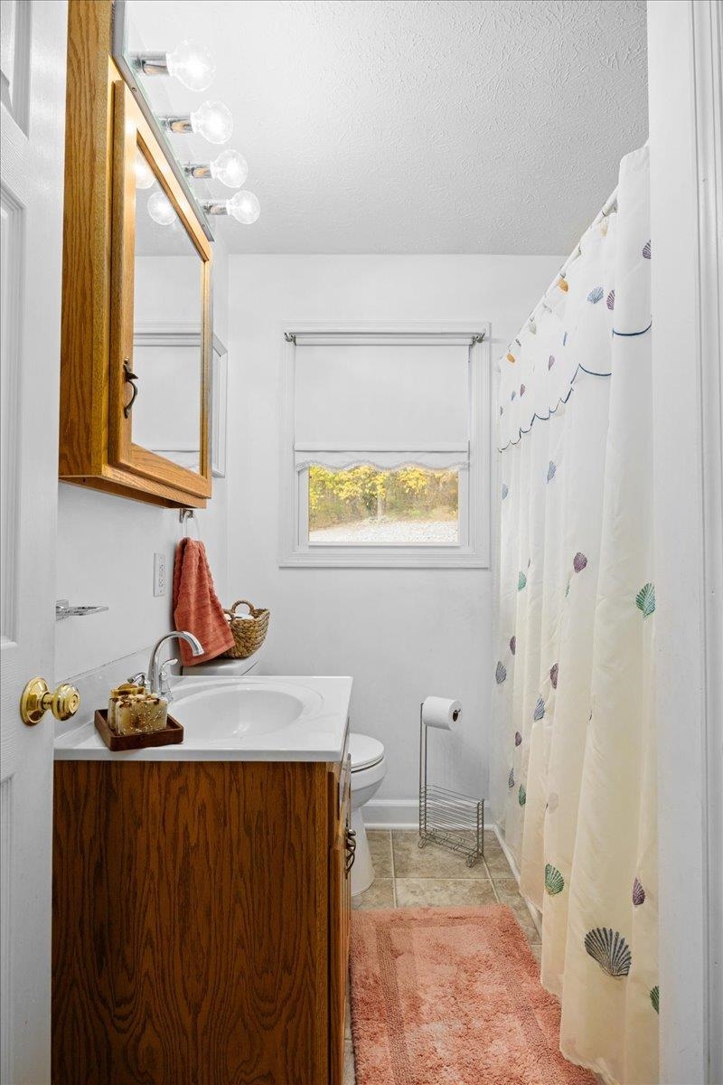 9508 Koontz Corner Road Harrisonburg, VA 22802 - Photo 30 of 55 a bathroom with a sink a toilet and a window
