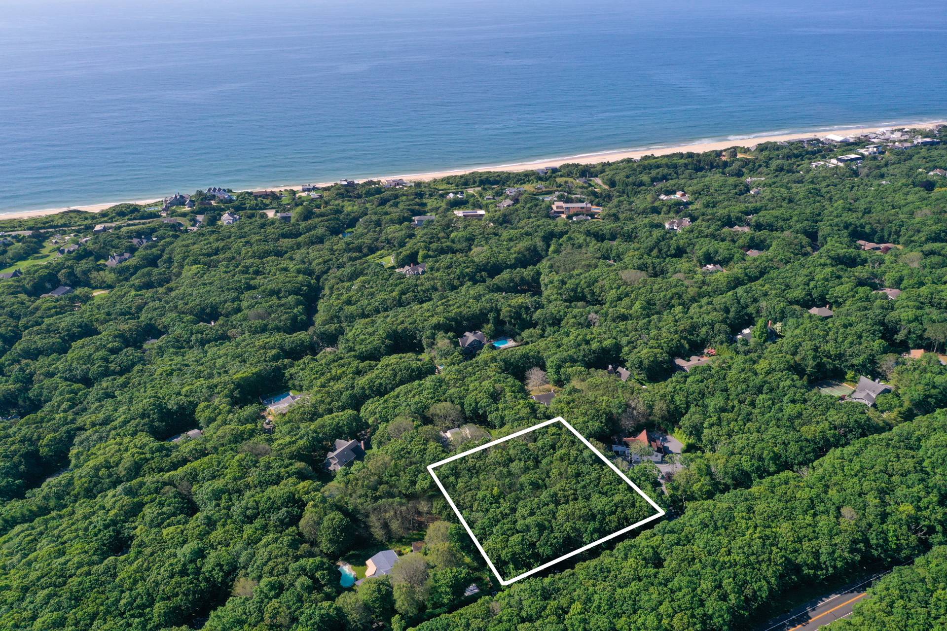 a view of a forest with a street