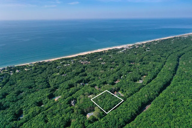 a view of a field with an ocean view