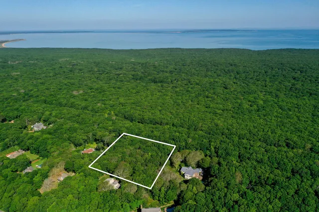 a view of a field with an ocean