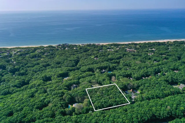 a view of a yard with an ocean