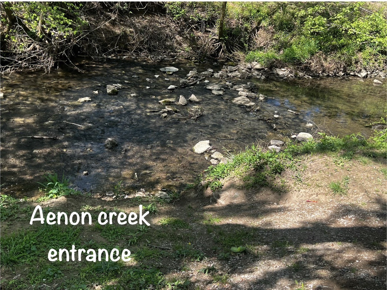 4078 Locerbie Circle Spring Hill, TN 37174 - Photo 14 of 15