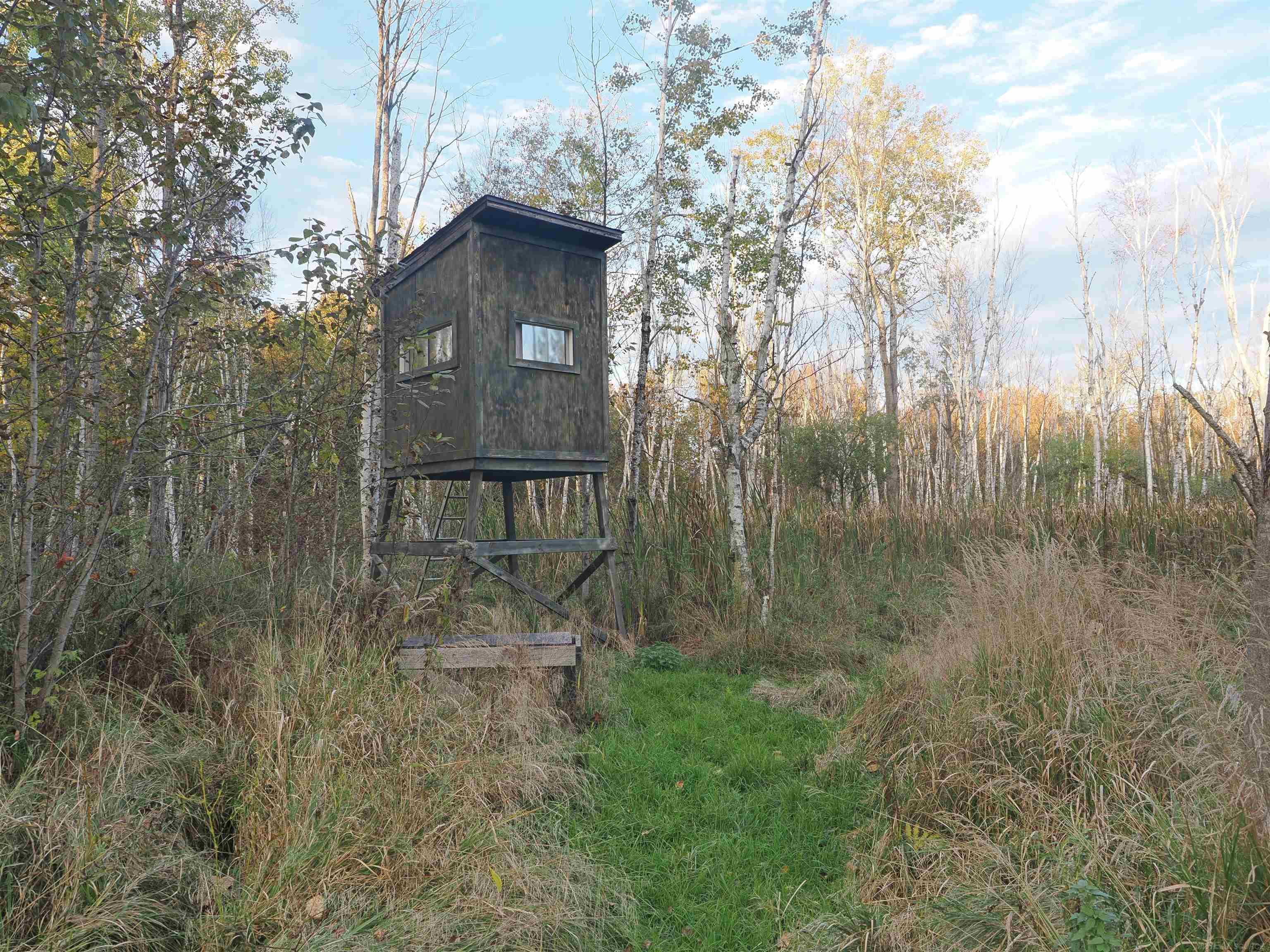 Xxx Tolan Road Spruce, MI 48762 - Photo 36 of 79