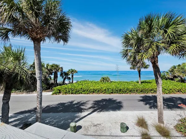 a view of roof deck with palm trees