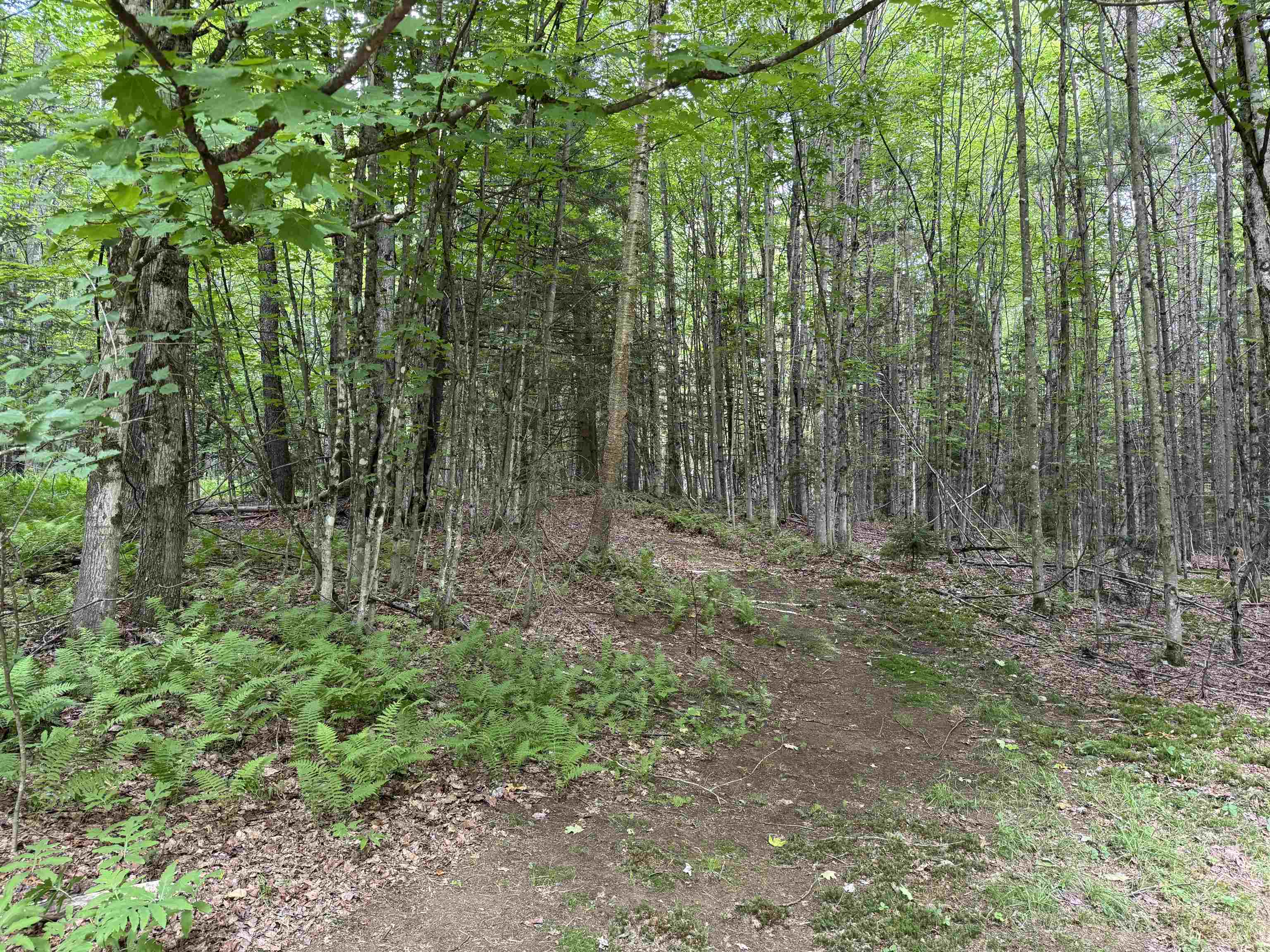 Tbd Richard Woolcutt Road Wolcott, VT 05680 - Photo 15 of 18