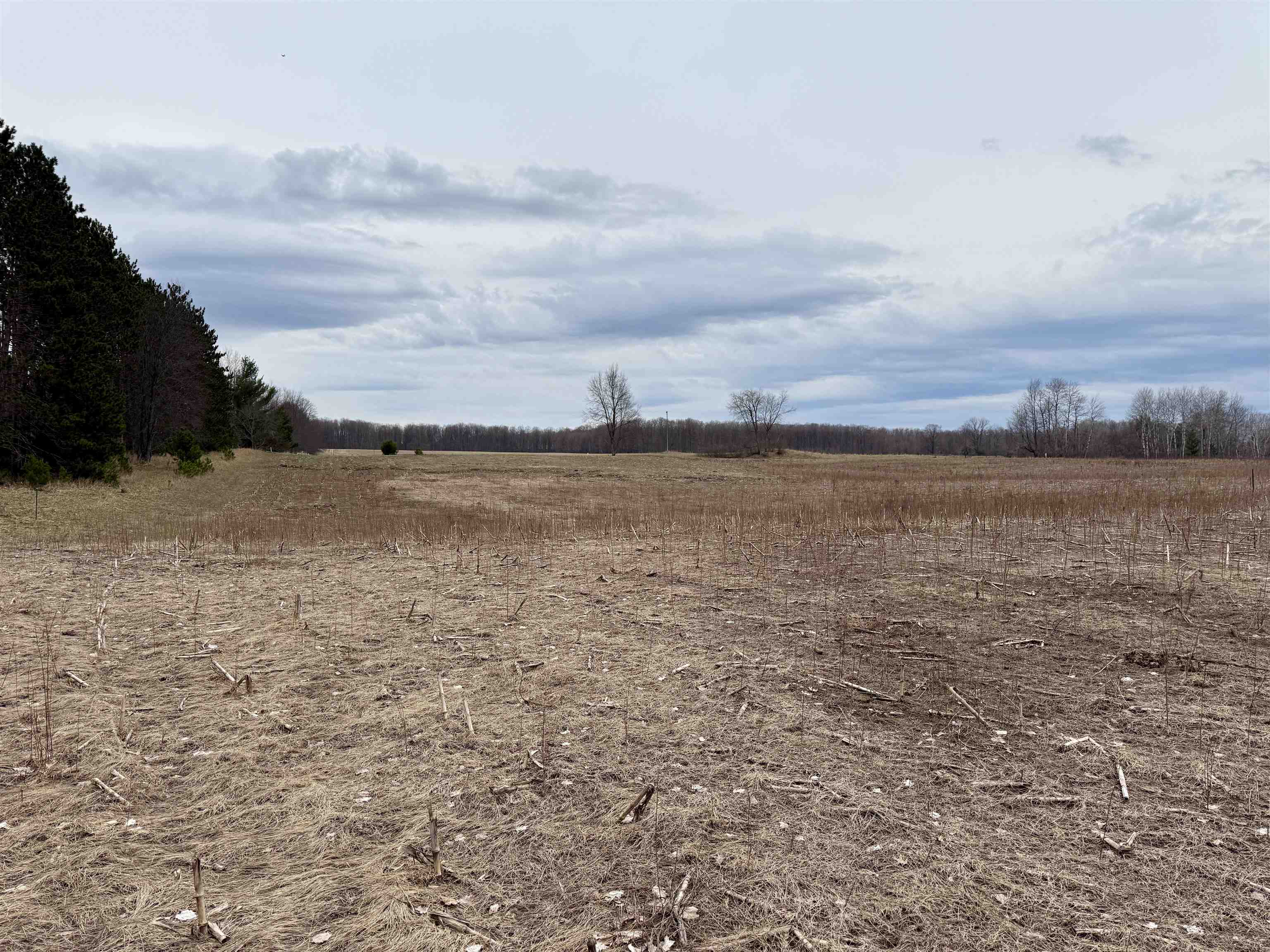 1 Gleaner Hall Road Kingsley, MI 49649 - Photo 2 of 11