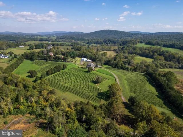 $2,450,000 | 8105 Willboyd Court, Marshall, VA 20115