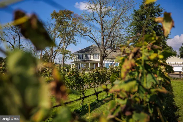 a view of a golf ground with huge green field and large trees