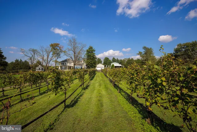 $2,450,000 | 8105 Willboyd Court, Marshall, VA 20115