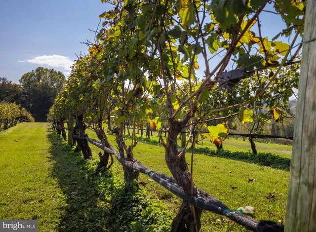 $2,450,000 | 8105 Willboyd Court, Marshall, VA 20115