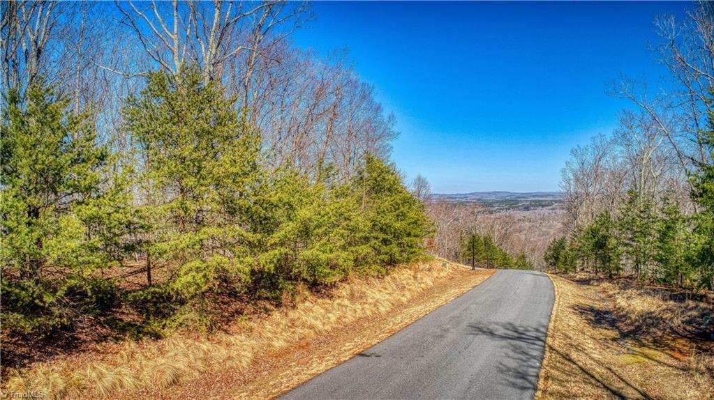 1827 Sierra Trace Road Denton, NC 27239 - Photo 17 of 34 Gallery Image 17