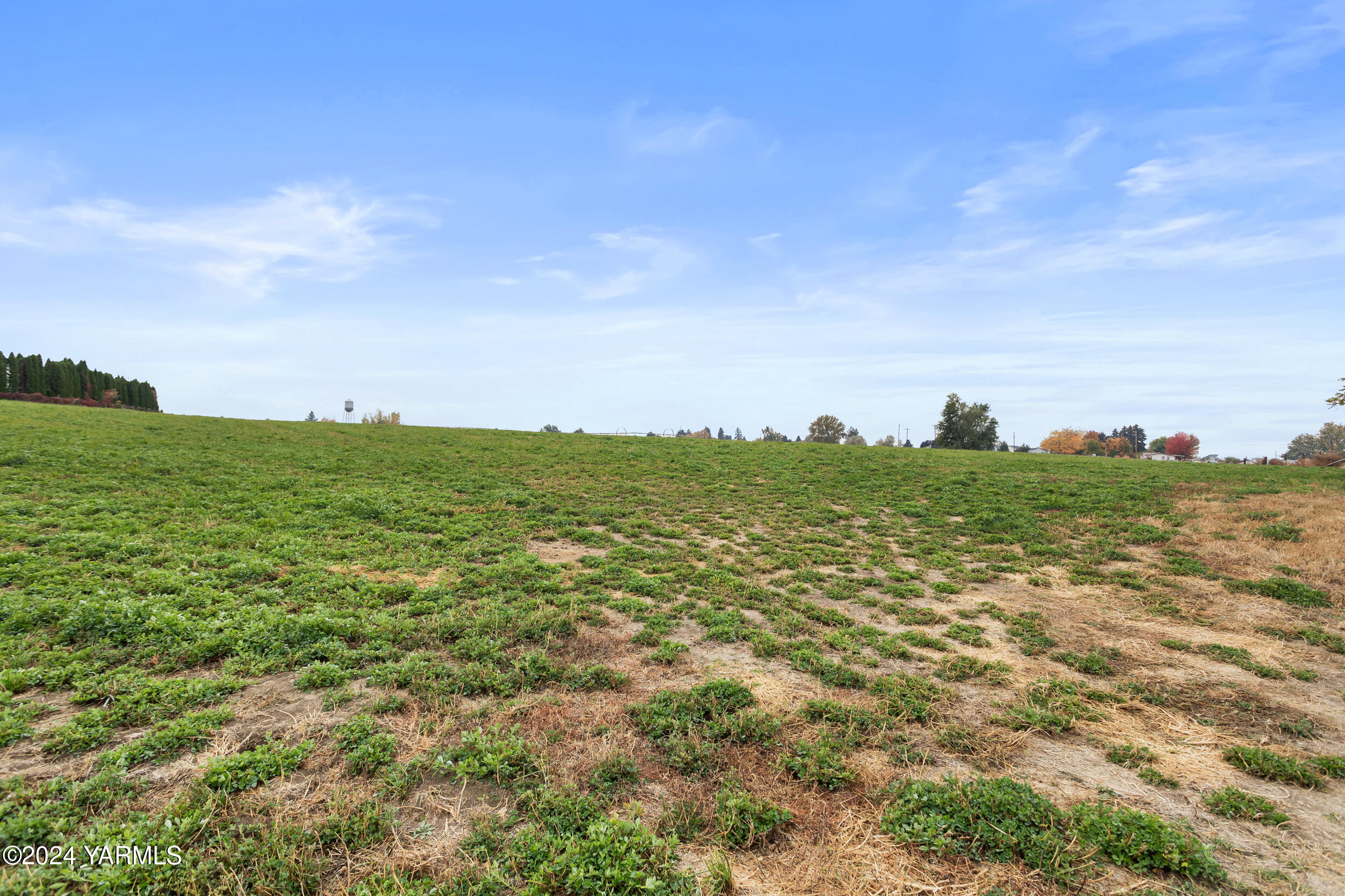 600 Schooley Road Zillah, WA 98953 - Photo 6 of 29 600 Schooley Rd