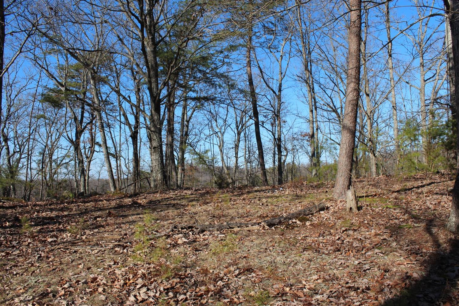240 Webb Road Berea, KY 40403 - Photo 28 of 37 Photo 28