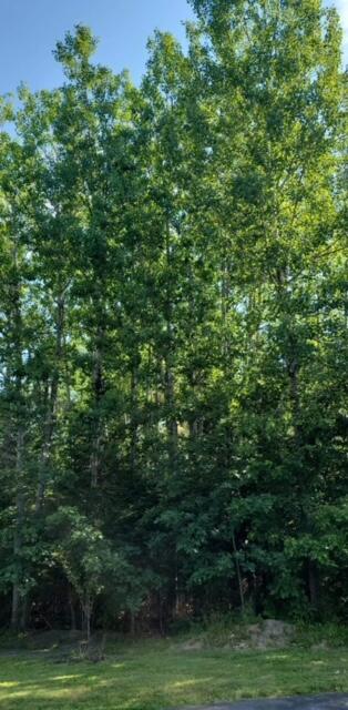 50 Vista Ridge Glenburn, ME 04401 - Photo 1 of 3 IMG_1613