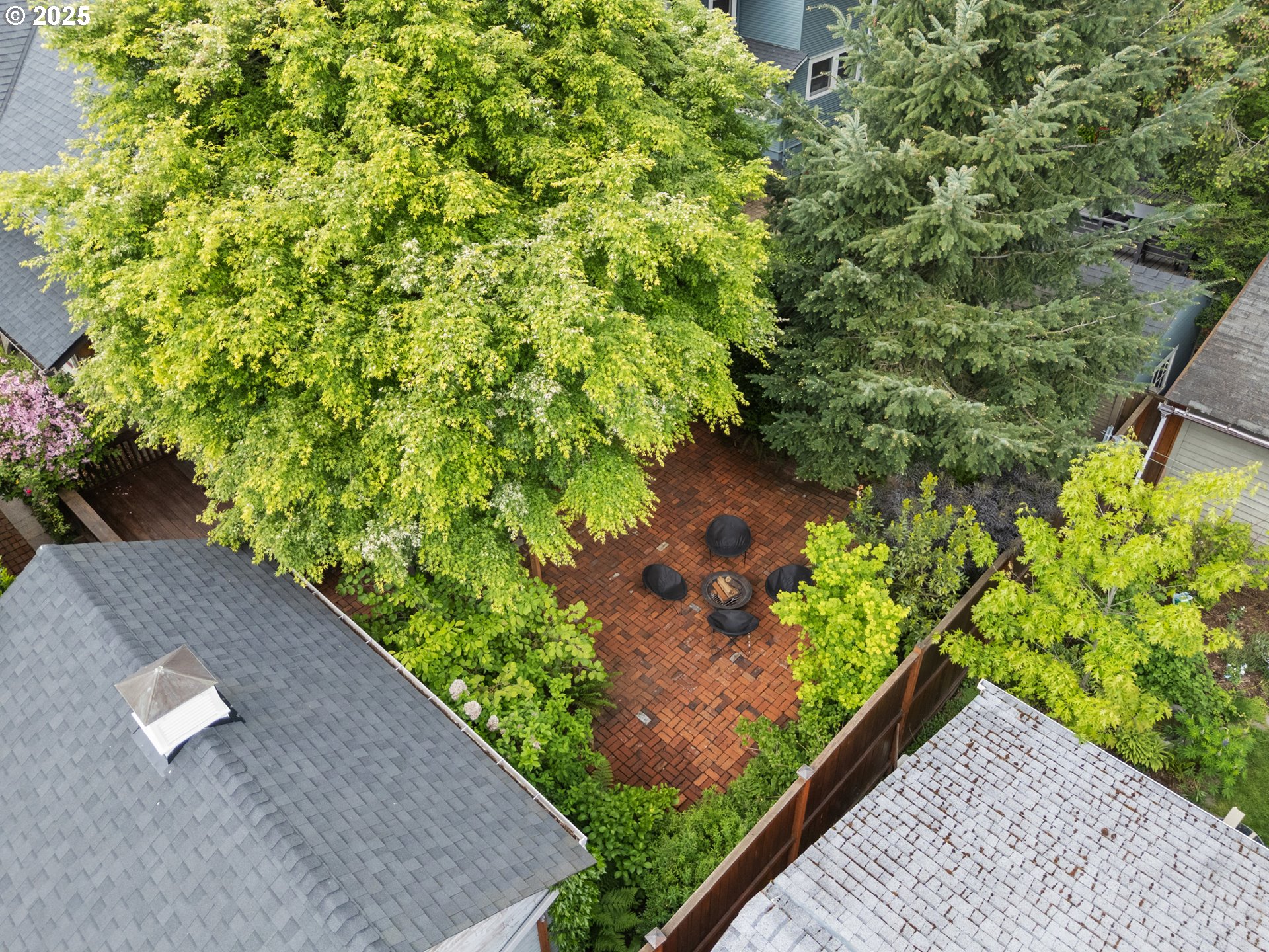 2404 Northeast 47th Avenue Portland, OR 97213 - Photo 33 of 35 a view of a garden with plants