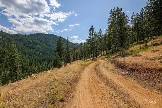 $170,000 | 28 Hillman Basin Road, New Meadows, ID 83654