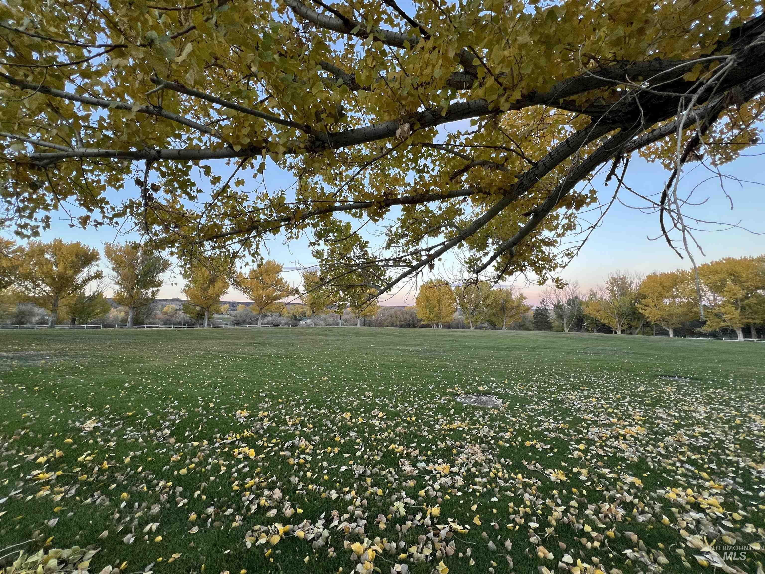 4521 Mesa View Road Buhl, ID 83316 - Photo 22 of 31