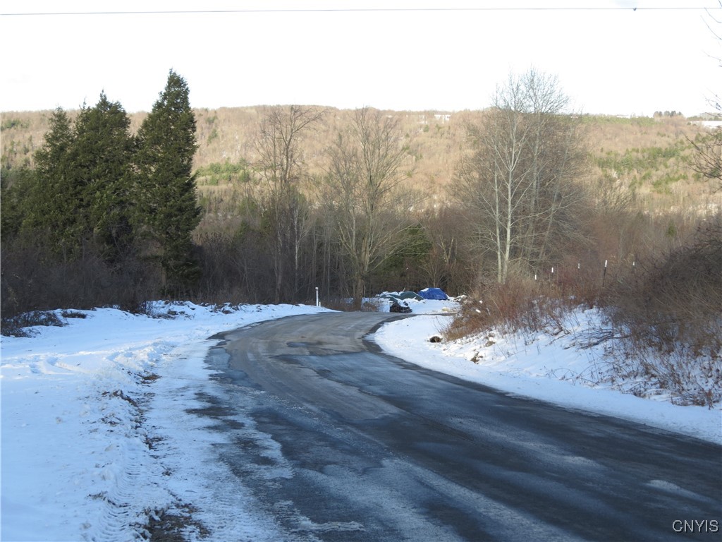 383 Pine Bush Road German Flatts, NY 13407 - Photo 2 of 7