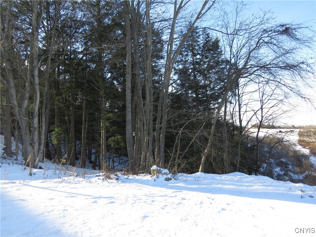 383 Pine Bush Road German Flatts, NY 13407 - Photo 3 of 7