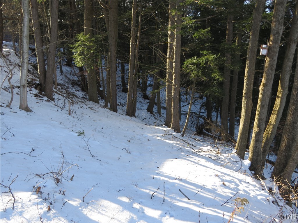 383 Pine Bush Road German Flatts, NY 13407 - Photo 4 of 7