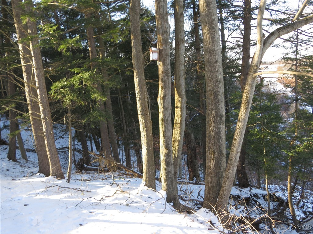 383 Pine Bush Road German Flatts, NY 13407 - Photo 5 of 7