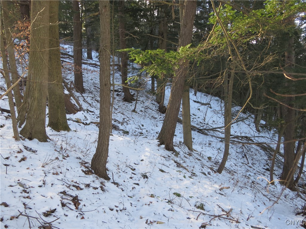 383 Pine Bush Road German Flatts, NY 13407 - Photo 6 of 7