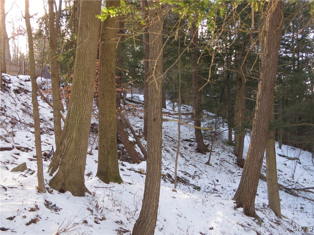 383 Pine Bush Road German Flatts, NY 13407 - Photo 7 of 7