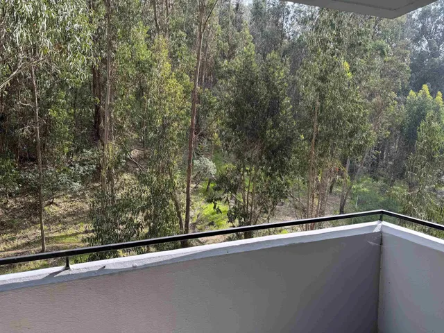 $510,000 | 555 Pierce Street, Unit 1030, Albany, CA 94706