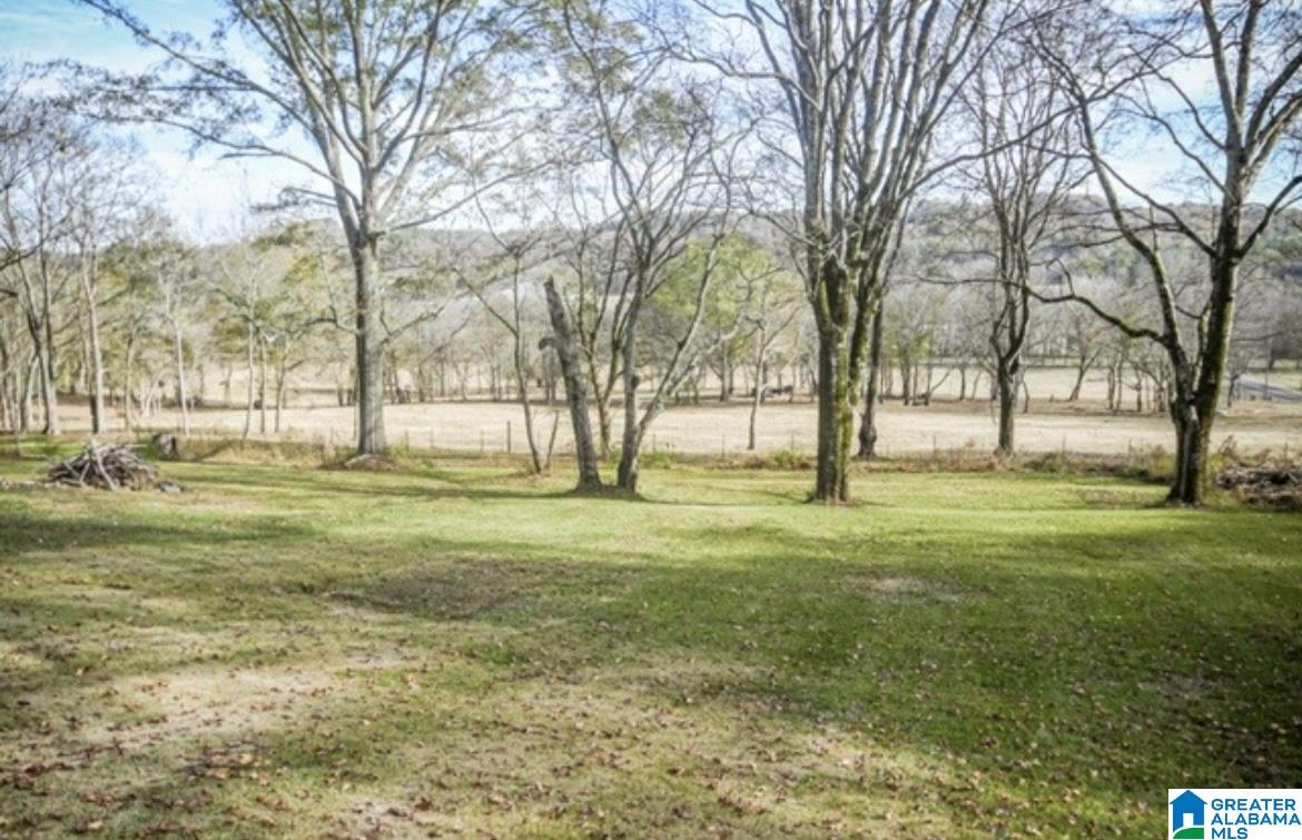 5705 Walnut Grove Road Birmingham, AL 35215 - Photo 3 of 15